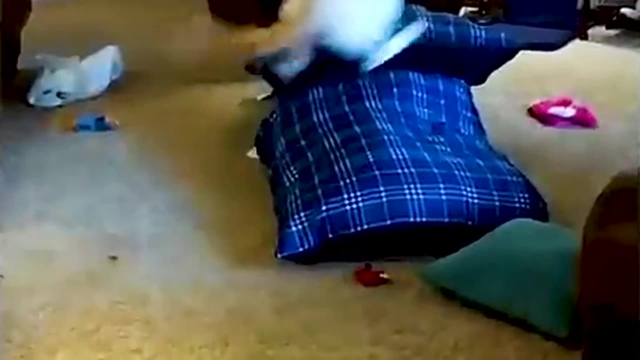 When you are sad and want to laugh