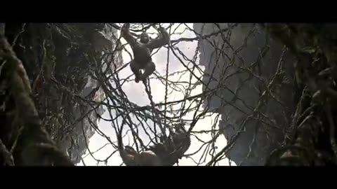 King Kong fight video 4k