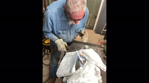 Yates American J180 Restoration - Part 4 - Motor First Run
