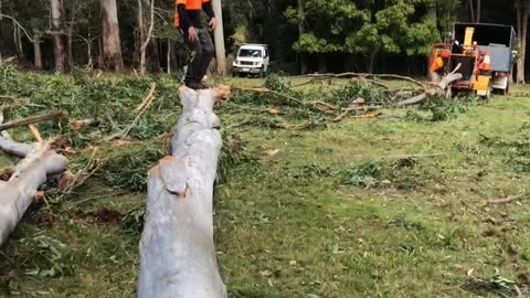 big flooded gum