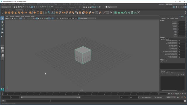 Intro to Maya: Lesson 1 / 10 - Basic Skills