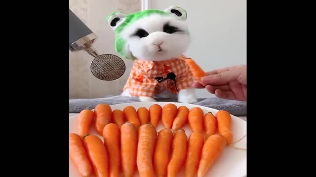 Best TikTok Funny Animals Video 2022, Newest Cats and Dogs