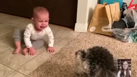 Baby and Funny Dog