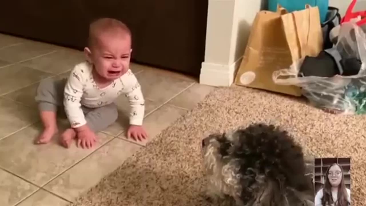 Baby and Funny Dog