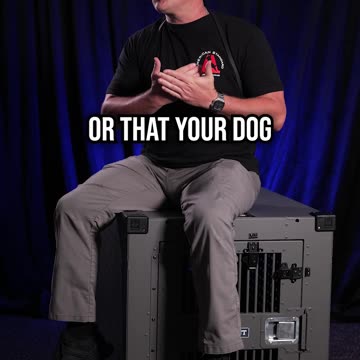 Does a Service Dog Need to Wear a Vest?