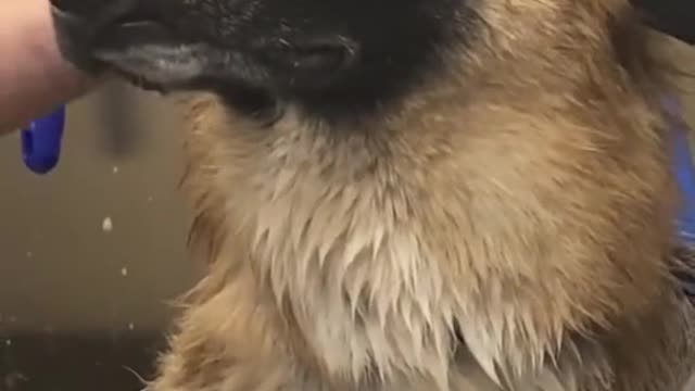 He is literally doing the 😕 face