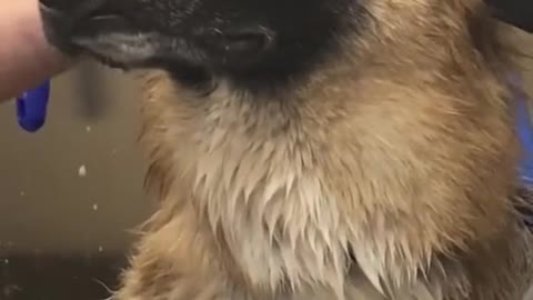 He is literally doing the 😕 face