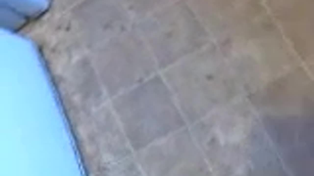 Genocide at the Roach Motel