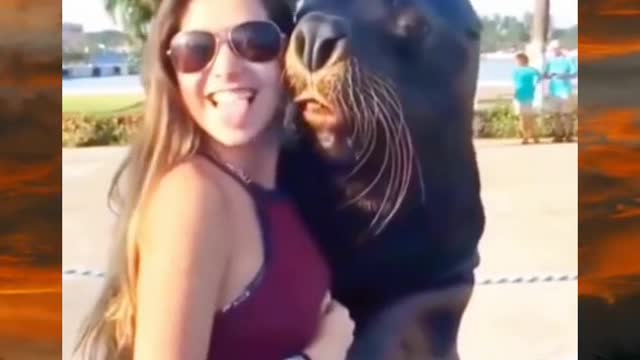 Woman taking photo with a seal