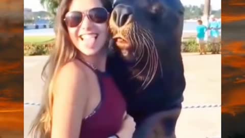 Woman taking photo with a seal