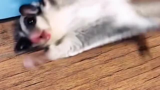 At the same time, they crashed through the window and went inside. Already