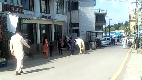 Peoples of city like riding on horses