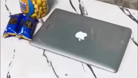 Funny phones reaction