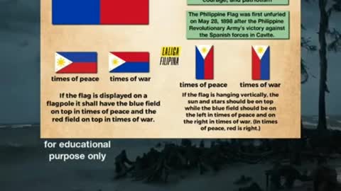 The Philippine Flag