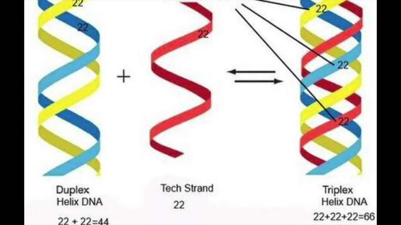 The Jeff Rense Show on a 3rd DNA helix and transhumanism