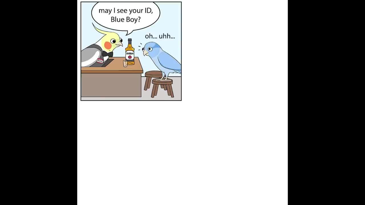 Funny Comics With A Parrot Twist
