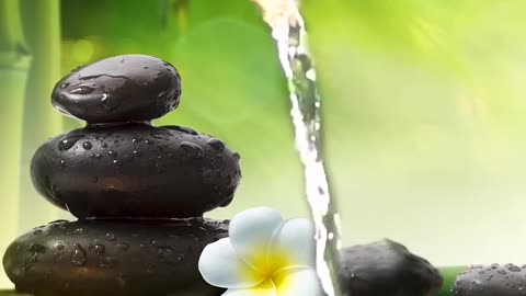 Relaxing Music Bamboo Water Fountain Meditation Music Sleep Music Piano Music Stress Relief Music