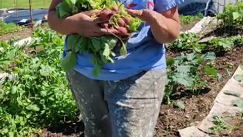 Regional District Central Kootenay Climate Action Plan Composting and Waste