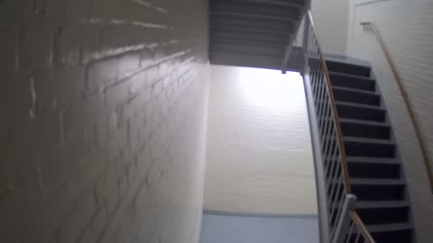 3867FHOB01Stair4_2021-01-05_01h00min00s907ms.mp4