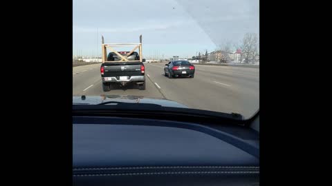 Freedom Convoy 2022 Leduc to Edmonton