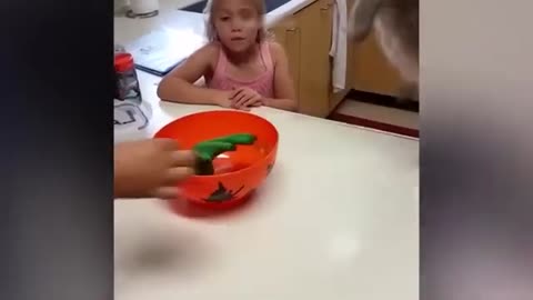 Funy Animals