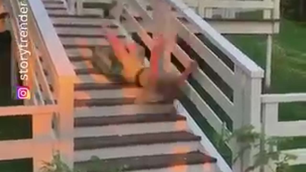 The end 😂#funny #viral #shorts #funnyvideos #trustedhumor