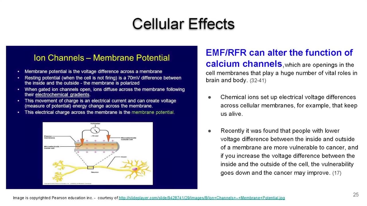 Questioning the Safety of Children's Exposure to Wireless Radiation in Schools