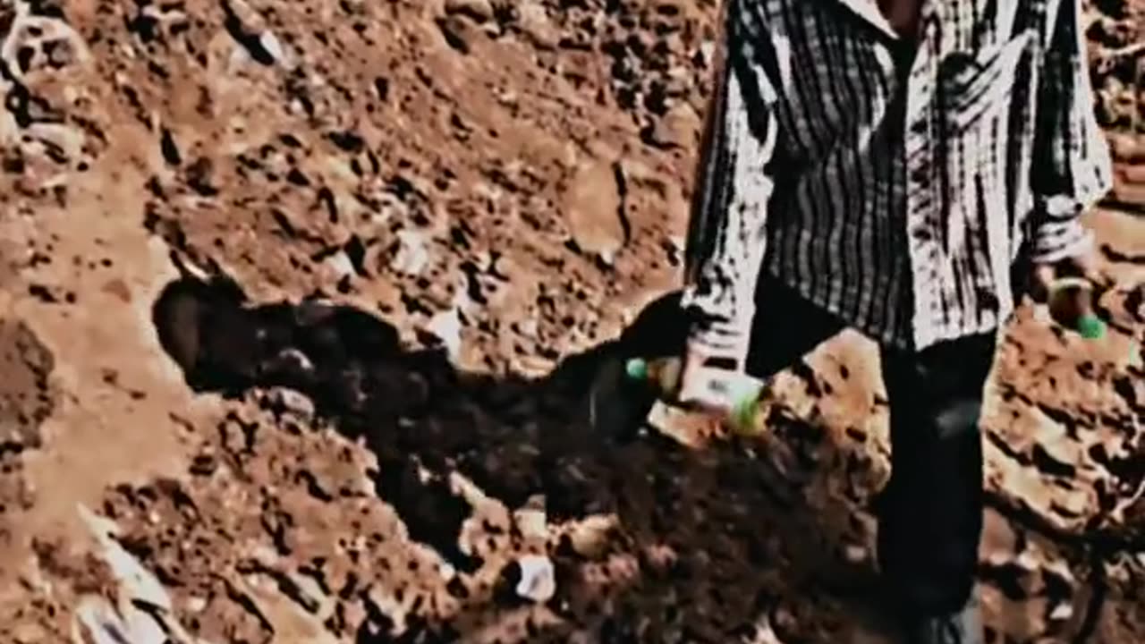 Respect video