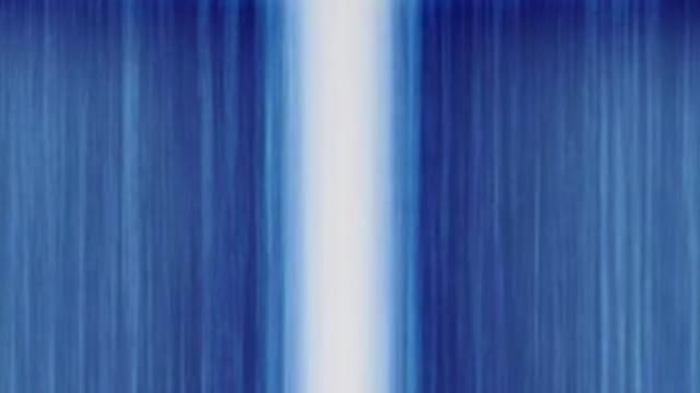 🦁🦁🦁🦁🦁🦁🦁