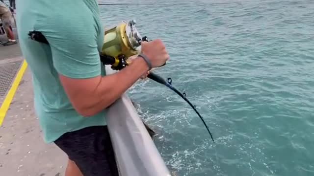 Fish VS Human 💪