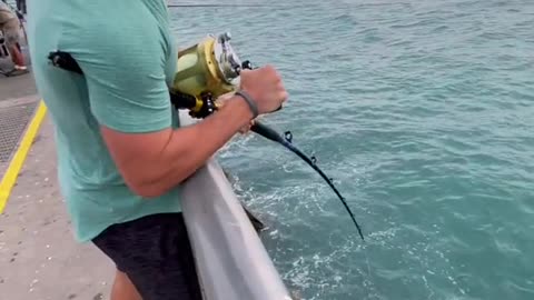 Fish VS Human 💪