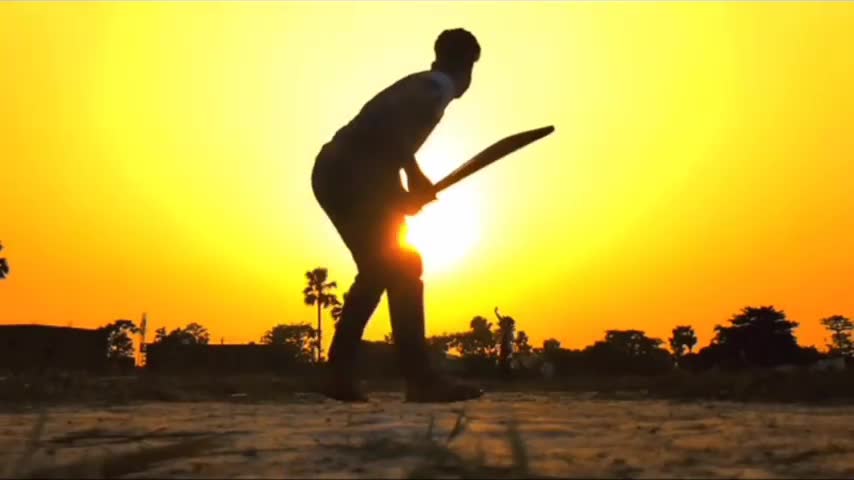 Cricket lovers