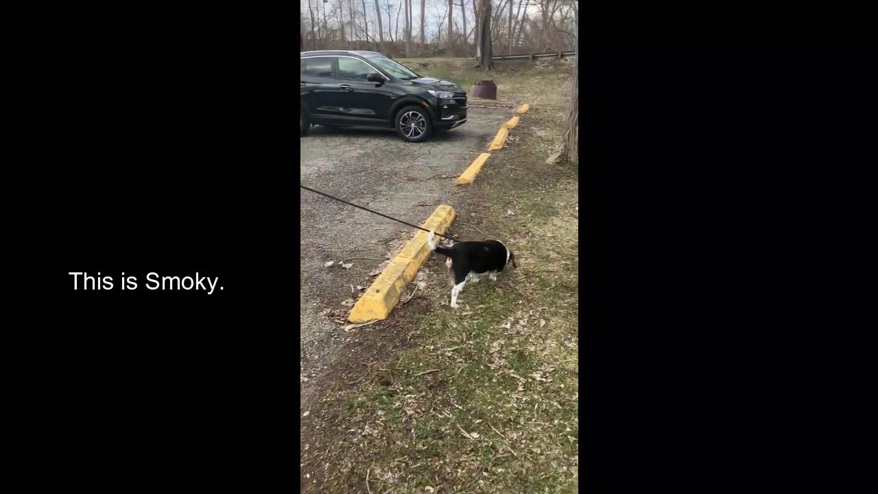 41: Geocaching with Bob, Joe, and Stephanie - A Brief Adventure