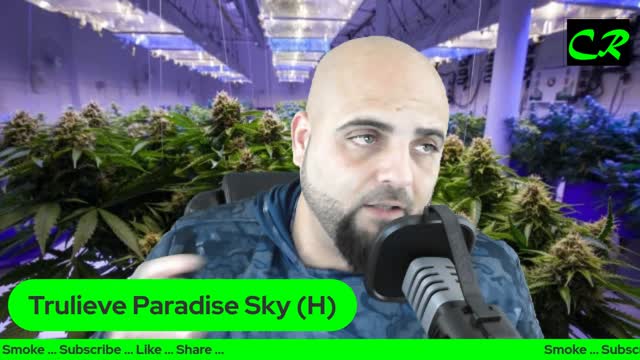 Trulieve Paradise Sky Ground Hybrid Cannabis Marijuana Review