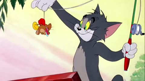 Tom and jerry cartoon