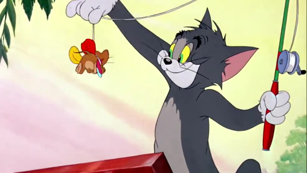 Tom and jerry cartoon