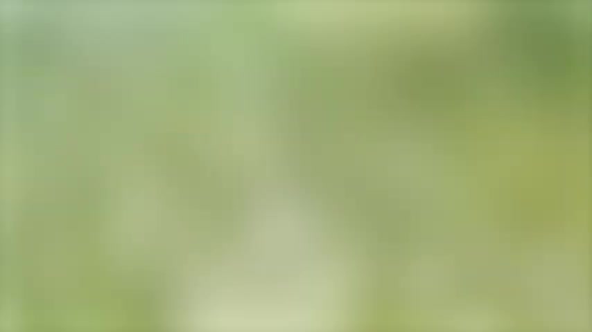 Funny animals videoπππ€£π€£πππ