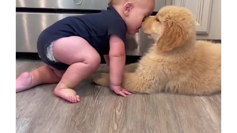 Cute baby videos