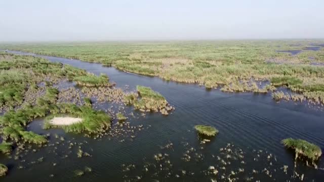 Iraq's Marsh Arabs battle drought and pollution