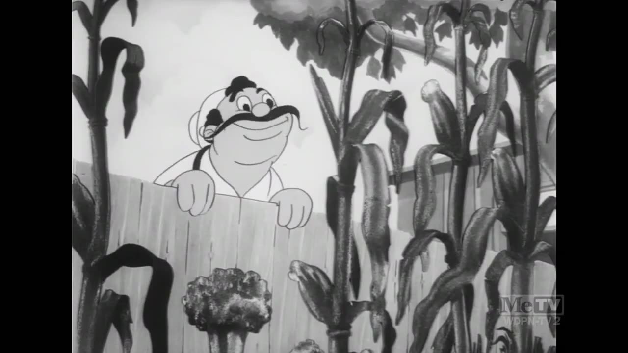 Looney Tunes - Porky's Garden