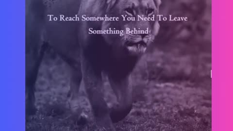 To Reach Somewhere You Need To Leave Something Behind...