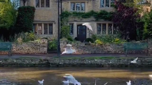 "The quiet and peaceful atmosphere of life."