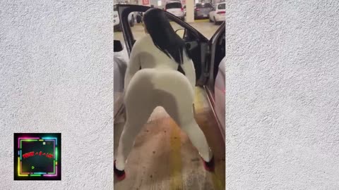 😈TWERK-A-LOT😈 COMPILATION PT 10🍑 