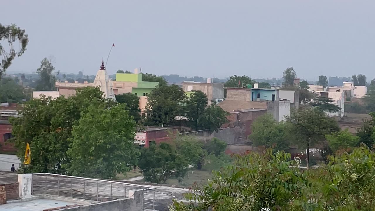 Sunshine weather is so amazing 😻