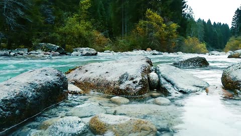 river #nature #river #shorts #short