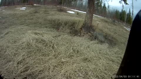 ATVing backyard in the Cariboo