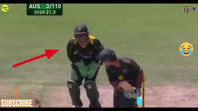 funny cricket incident