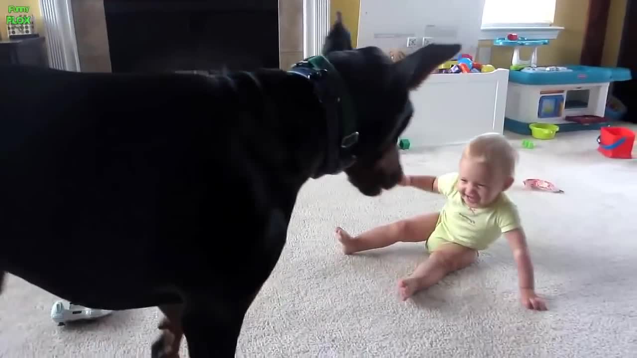 Best Funny Babies and Animals Compilation