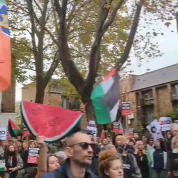 Labour MP Emily Thornberry Hurling abuse at by free palestine protesters