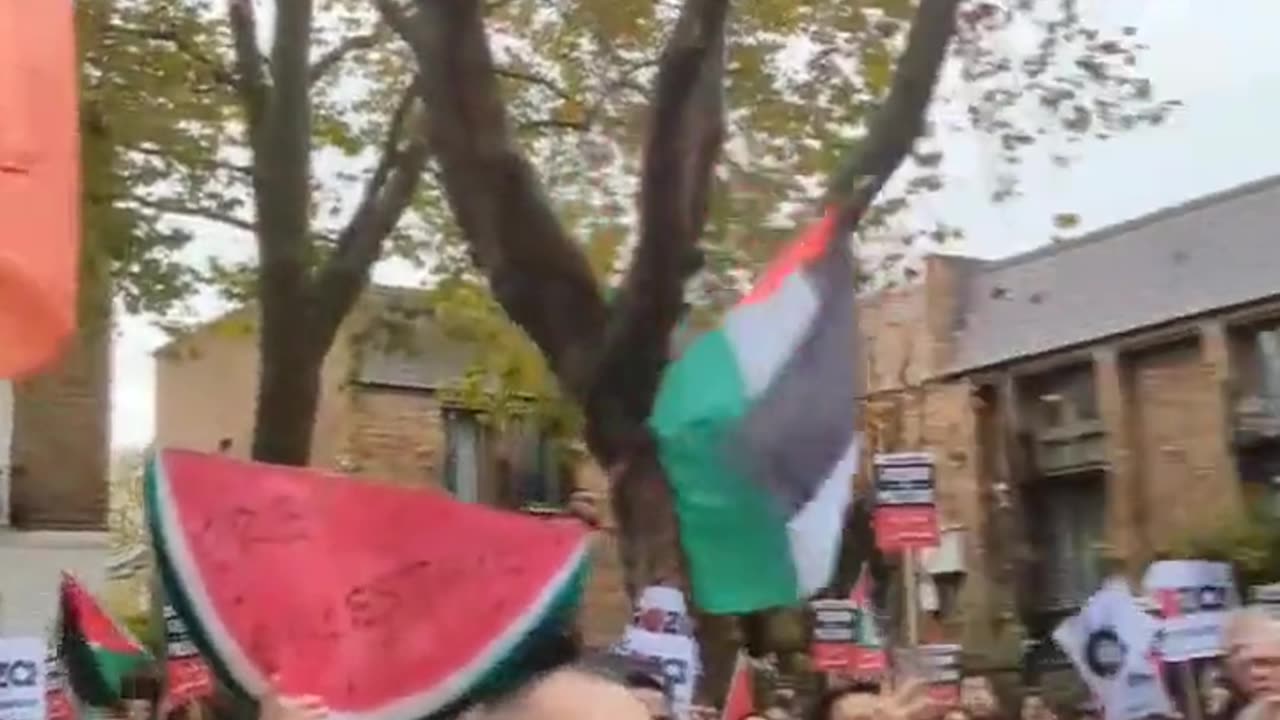Labour MP Emily Thornberry Hurling abuse at by free palestine protesters